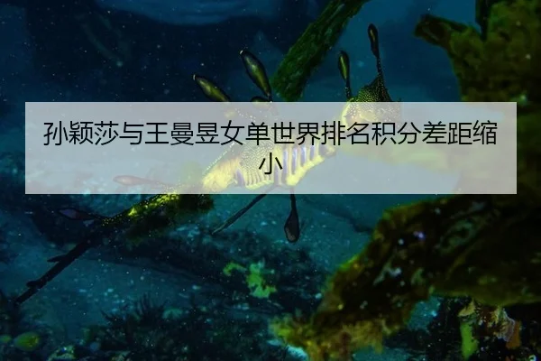 孙颖莎与王曼昱女单世界排名积分差距缩小